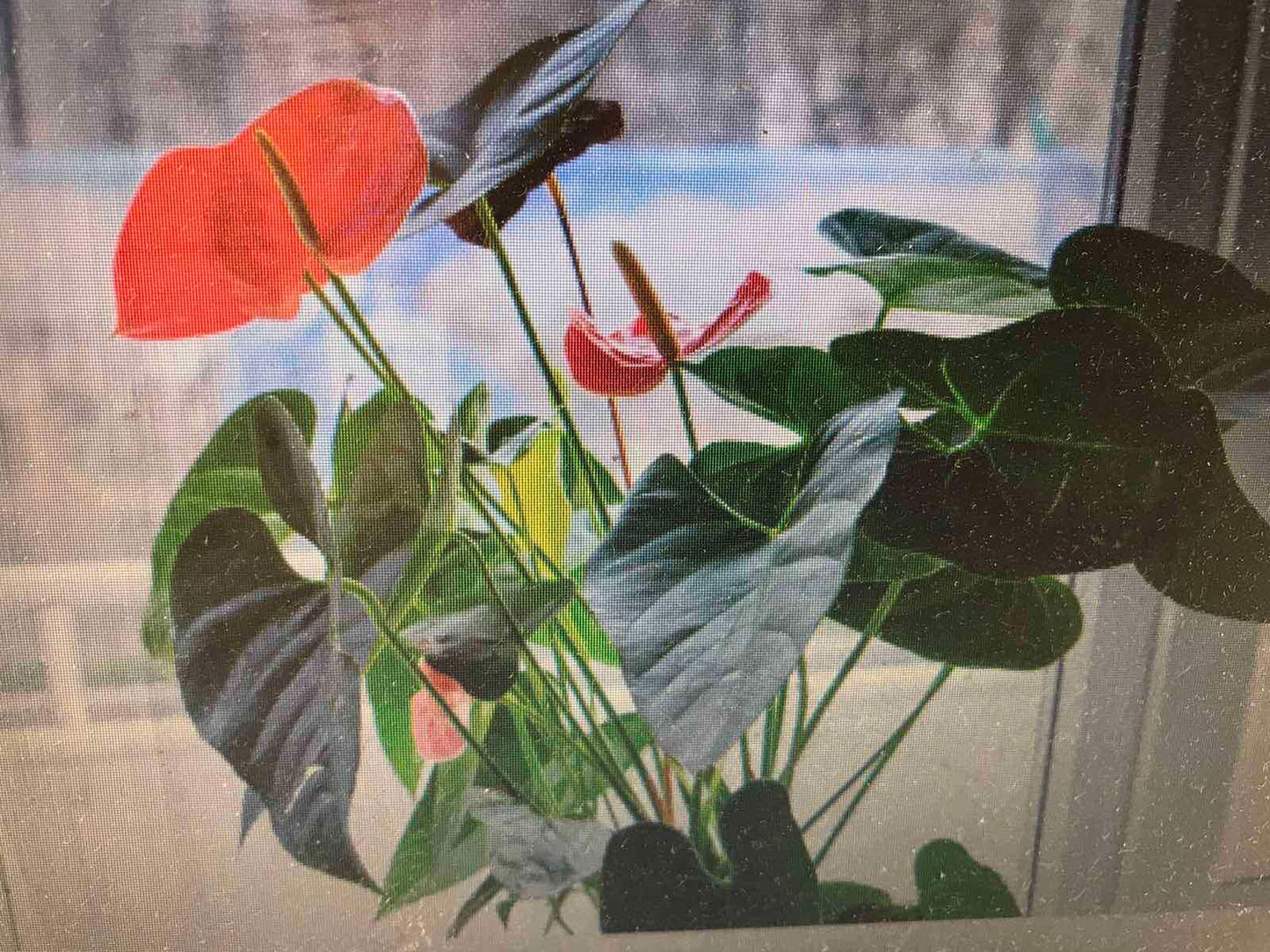 Custom listing for Melinda (Part 1): a mailbox with leaves, flowers, house numbers 941