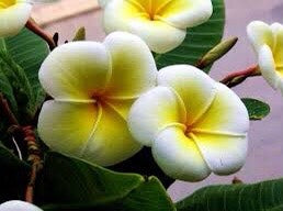 Custom listing for Melinda (Part 2): a mailbox with leaves, flowers, house numbers 941