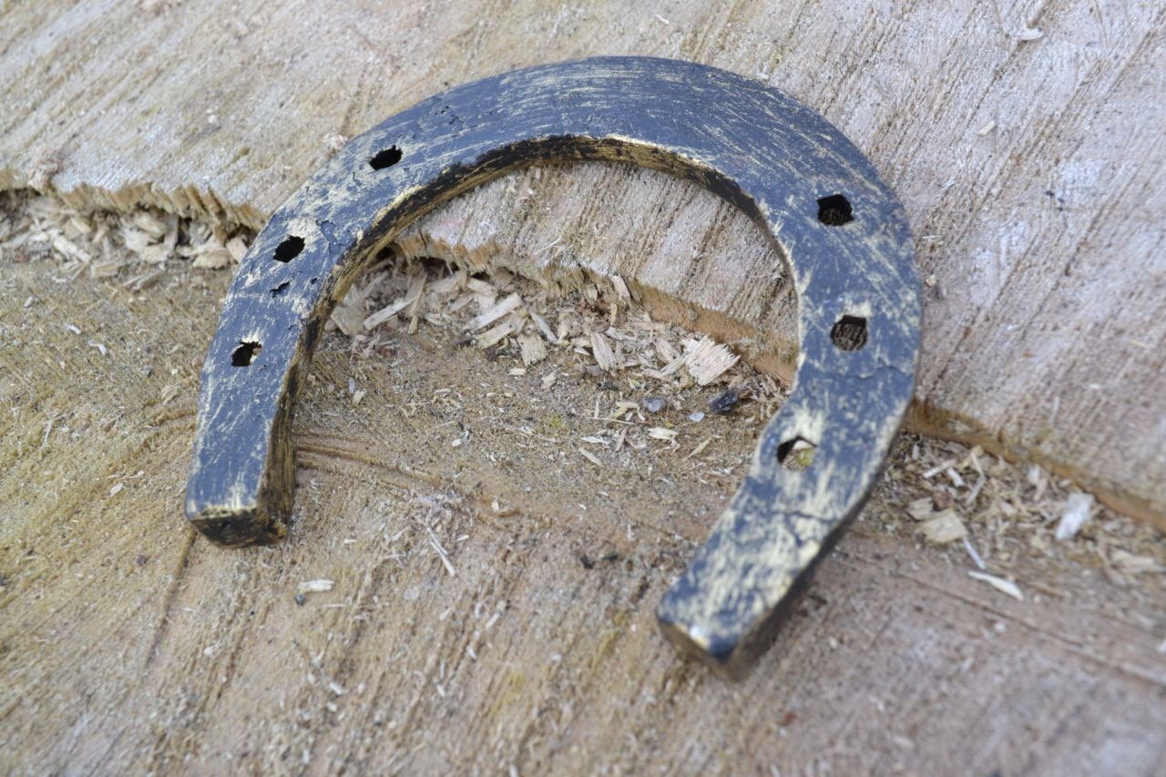 A set of 3 horseshoes, hand forged horseshoe, horse shoe, lucky talisman, iron gift, metal art, goodluck symbol, lucky horseshoe, wall decor