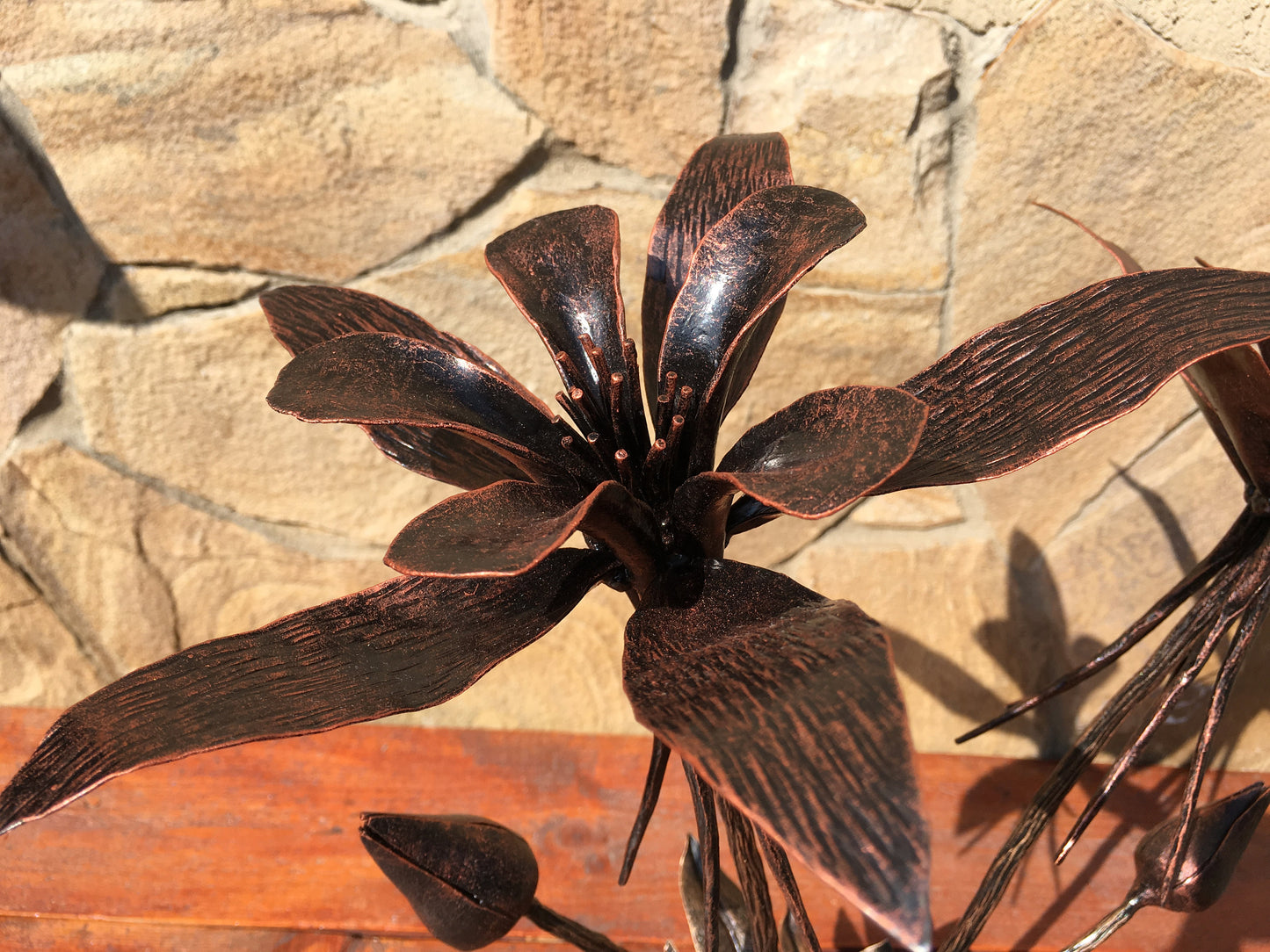 Colorado Columbine, State flower, nature photography, flower photography, flower art, flower print,flower gift,State souvenir,bridal bouquet