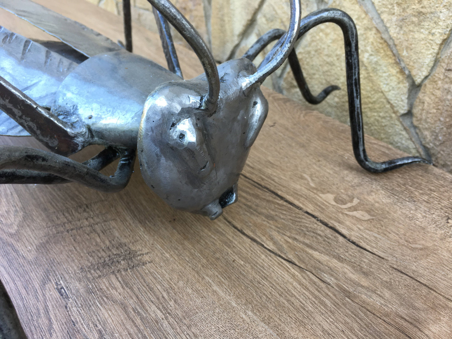 Grasshooper, iron grasshooper, garden decor, yard art, garden art, insect charm, garden gifts, garden sculpture, garden ideas, garden iron