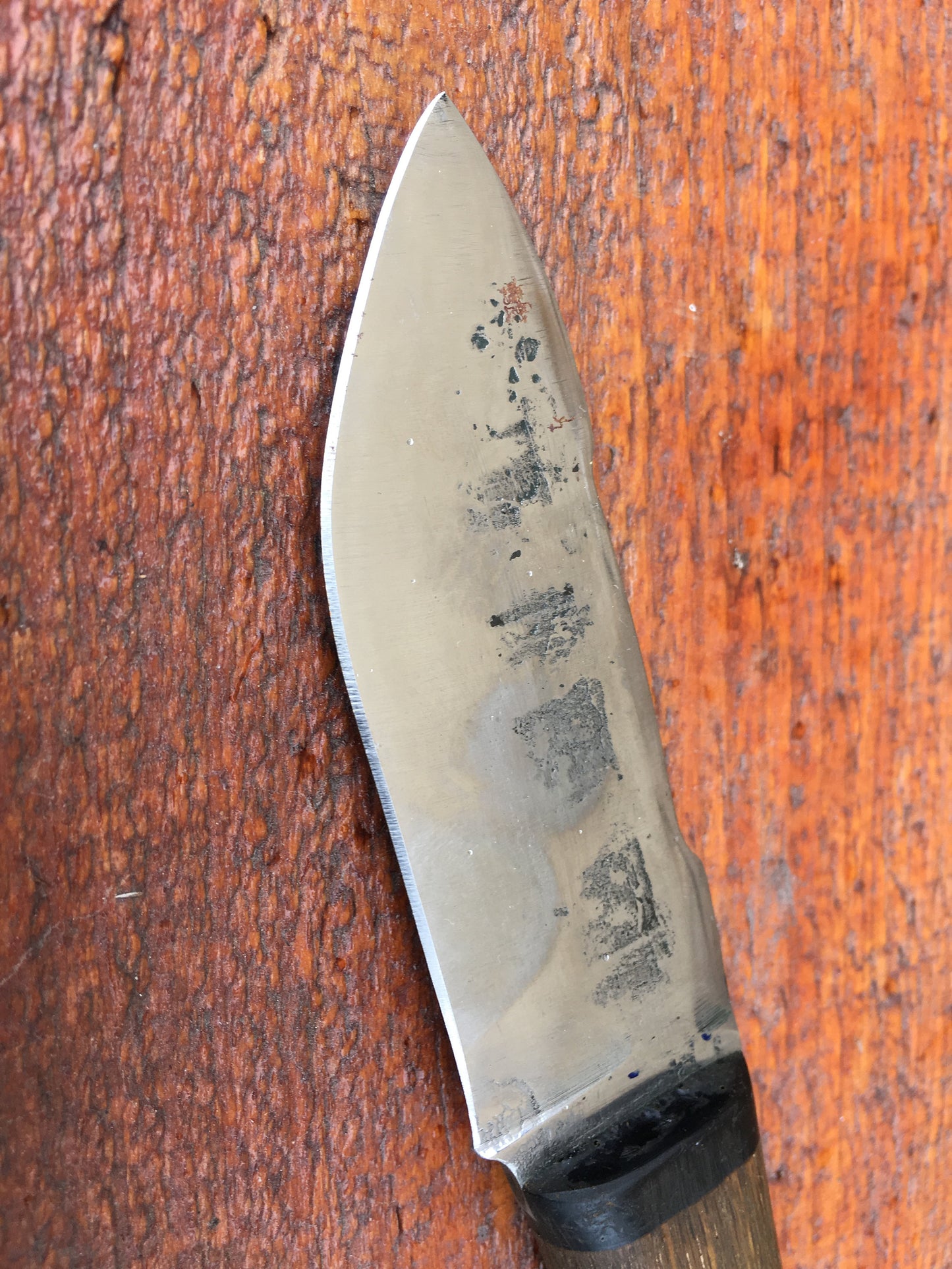 Stainless steel hand forged knife, hunting knife, mens gift, hunting tools, man cave gift, camp knife, hiking knife, custom knife, cutlery