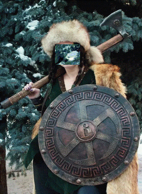 Knight shield, warrior shield, custom shield, shield, medieval shield, wall shield,historical shield,spartan shield,viking shield,viking axe