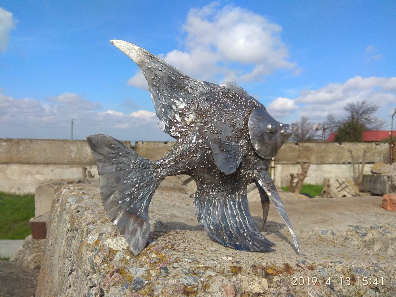 Angelfish, fish, aquarium, iron fish, steel fish, metal fish, aquarium gift, fish gift, fish decor, fish wall art, live fish, fish replica