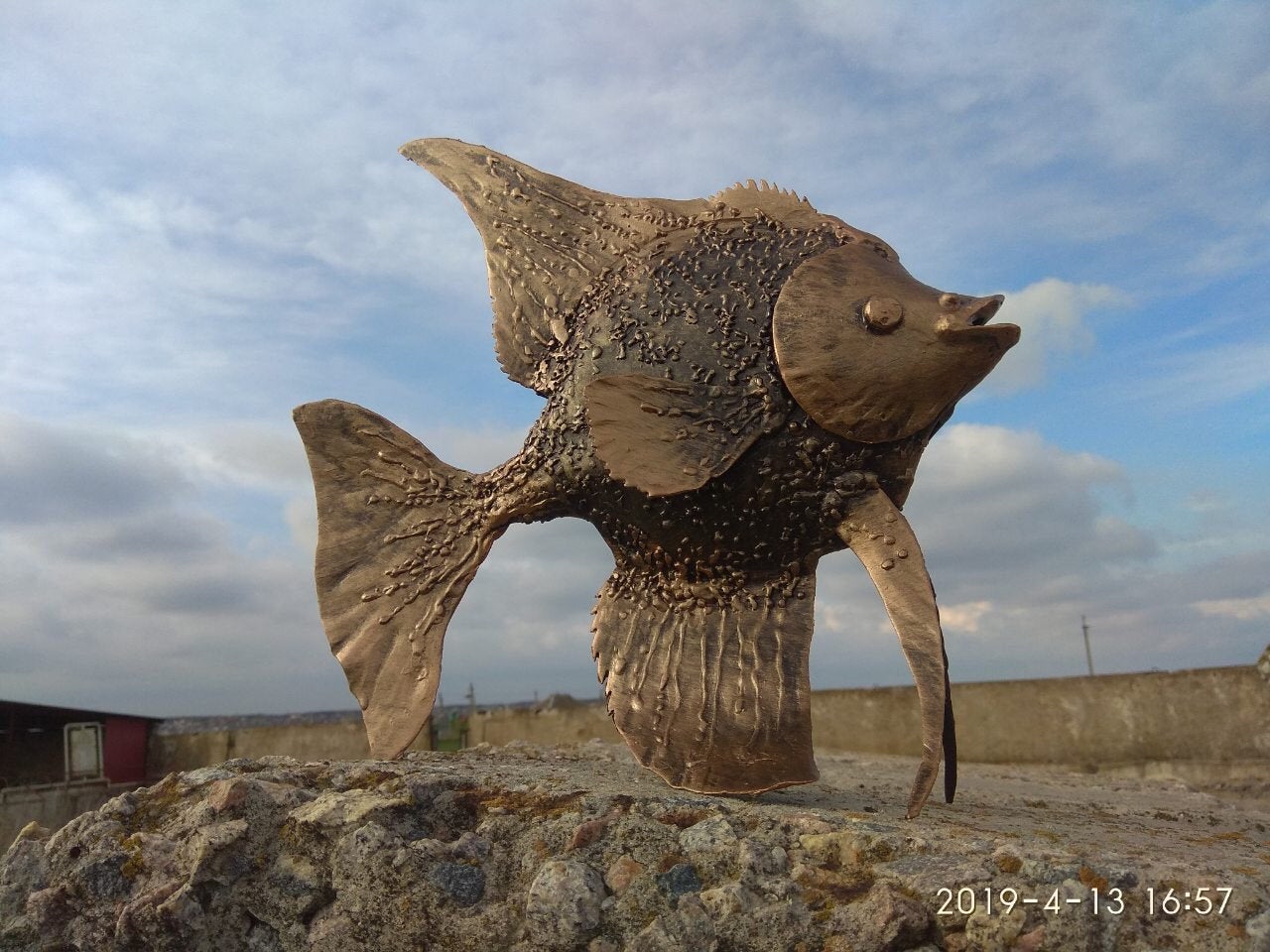 Angelfish, fish, aquarium, iron fish, steel fish, metal fish, aquarium gift, fish gift, fish decor, fish wall art, live fish, fish replica
