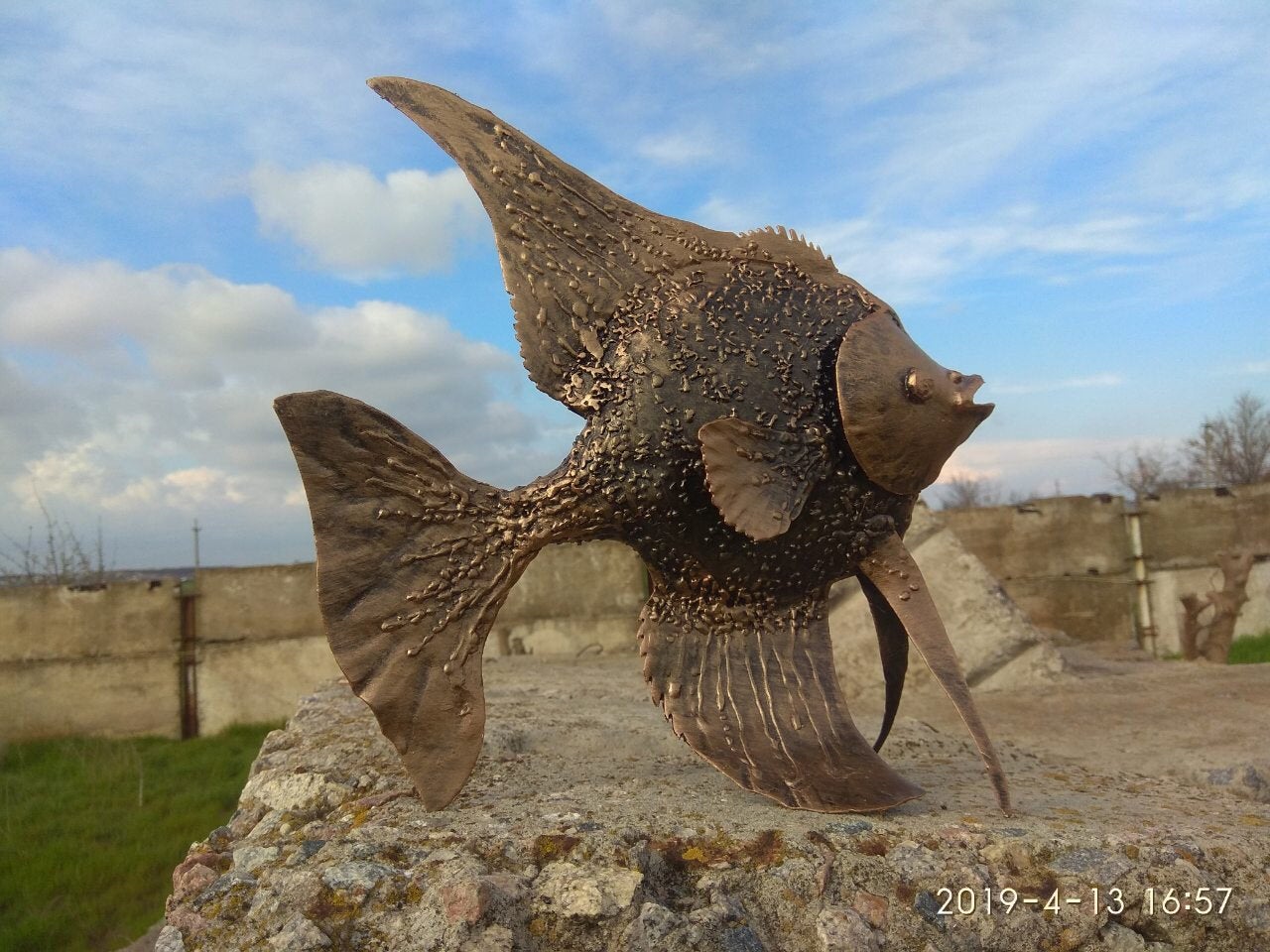 Angelfish, fish, aquarium, iron fish, steel fish, metal fish, aquarium gift, fish gift, fish decor, fish wall art, live fish, fish replica