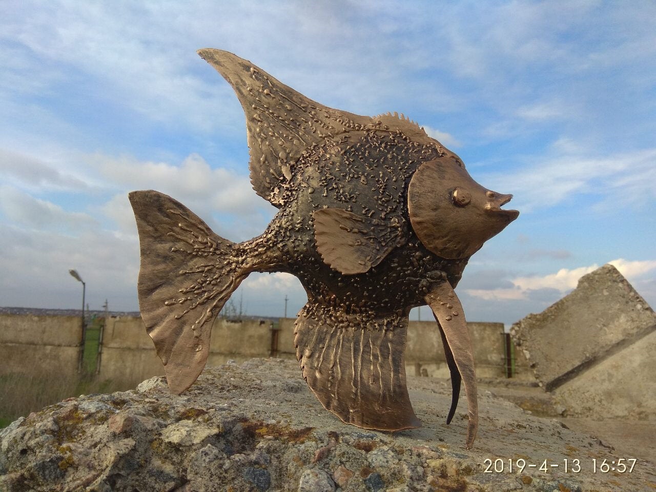 Angelfish, fish, aquarium, iron fish, steel fish, metal fish, aquarium gift, fish gift, fish decor, fish wall art, live fish, fish replica