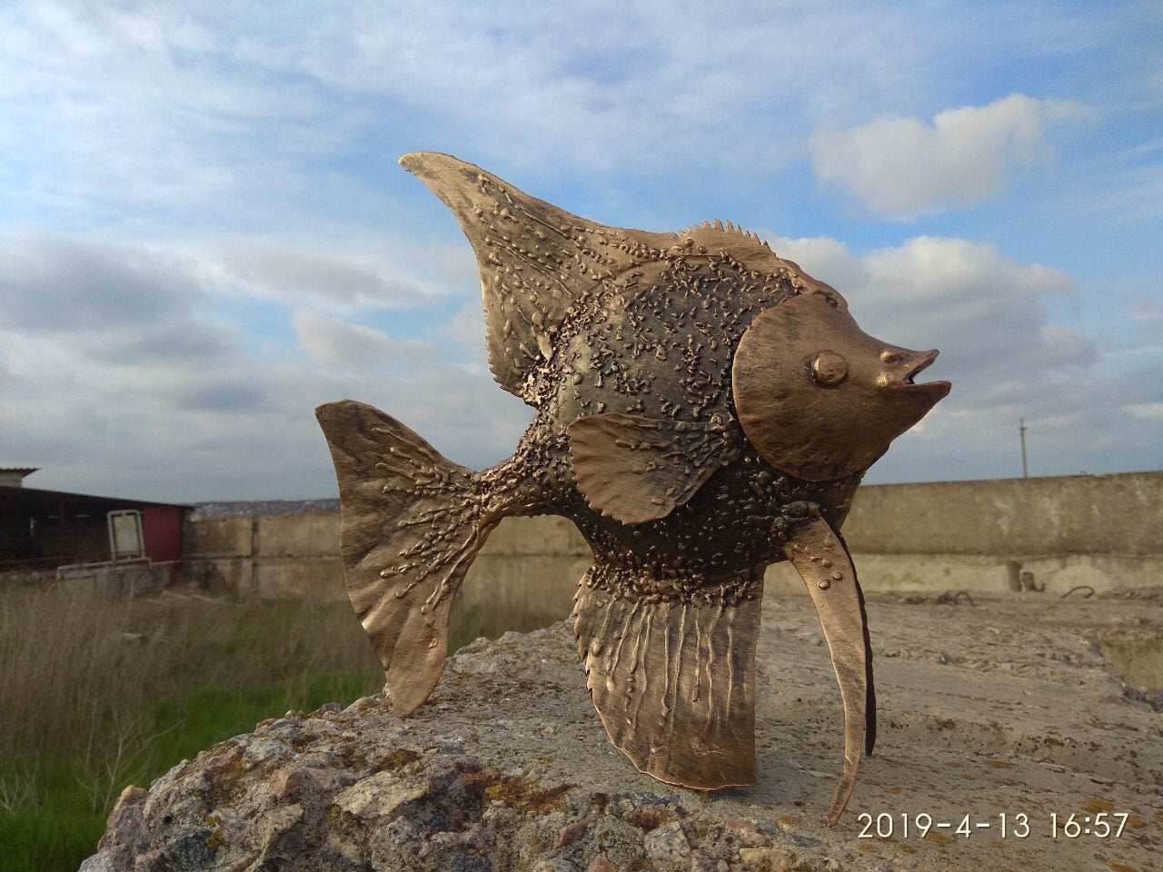 Angelfish, fish, aquarium, iron fish, steel fish, metal fish, aquarium gift, fish gift, fish decor, fish wall art, live fish, fish replica
