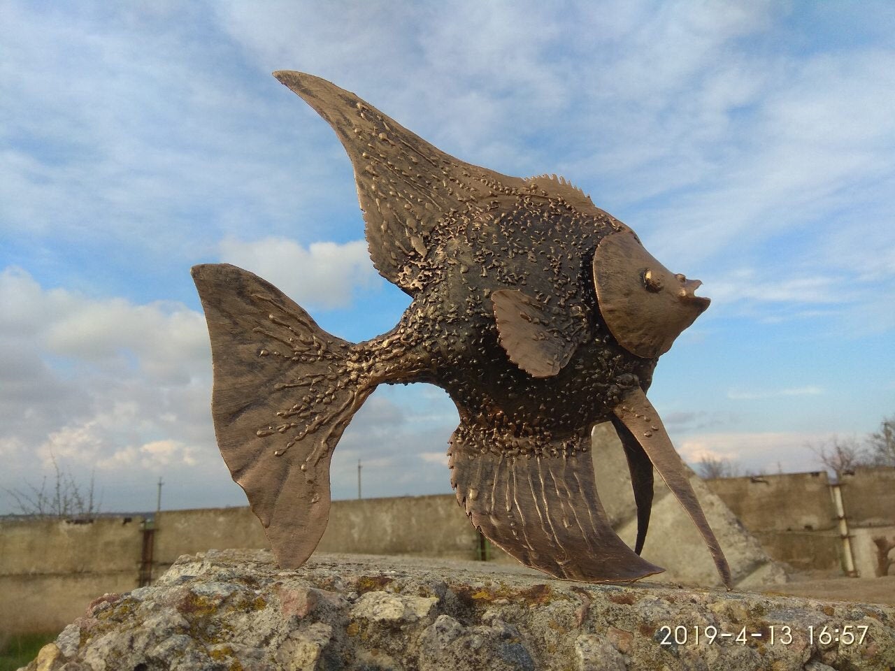 Angelfish, fish, aquarium, iron fish, steel fish, metal fish, aquarium gift, fish gift, fish decor, fish wall art, live fish, fish replica