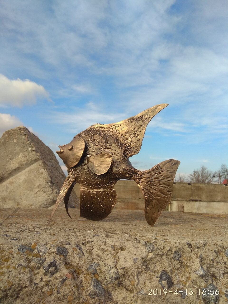 Angelfish, fish, aquarium, iron fish, steel fish, metal fish, aquarium gift, fish gift, fish decor, fish wall art, live fish, fish replica