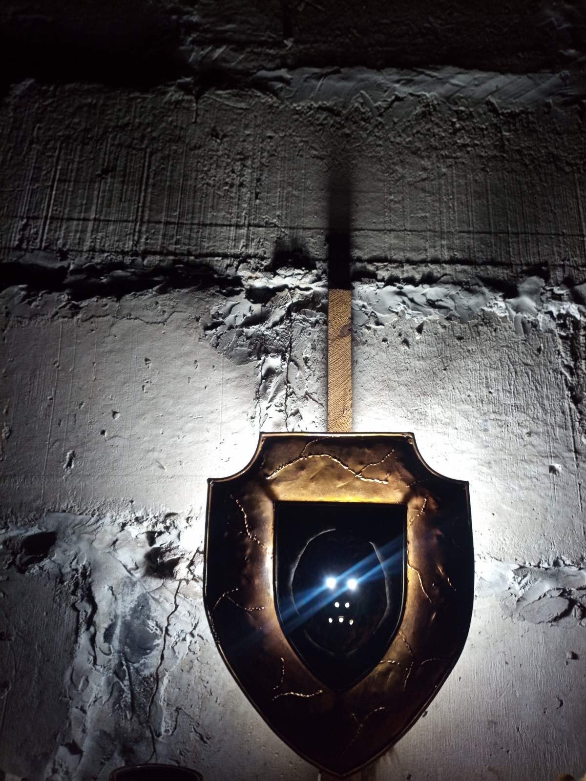 Wall sconce, lion, shield, viking shield, man cave, sconce, sconce light, graduation gift, retirement gift, wall lamp, viking decor, vikings