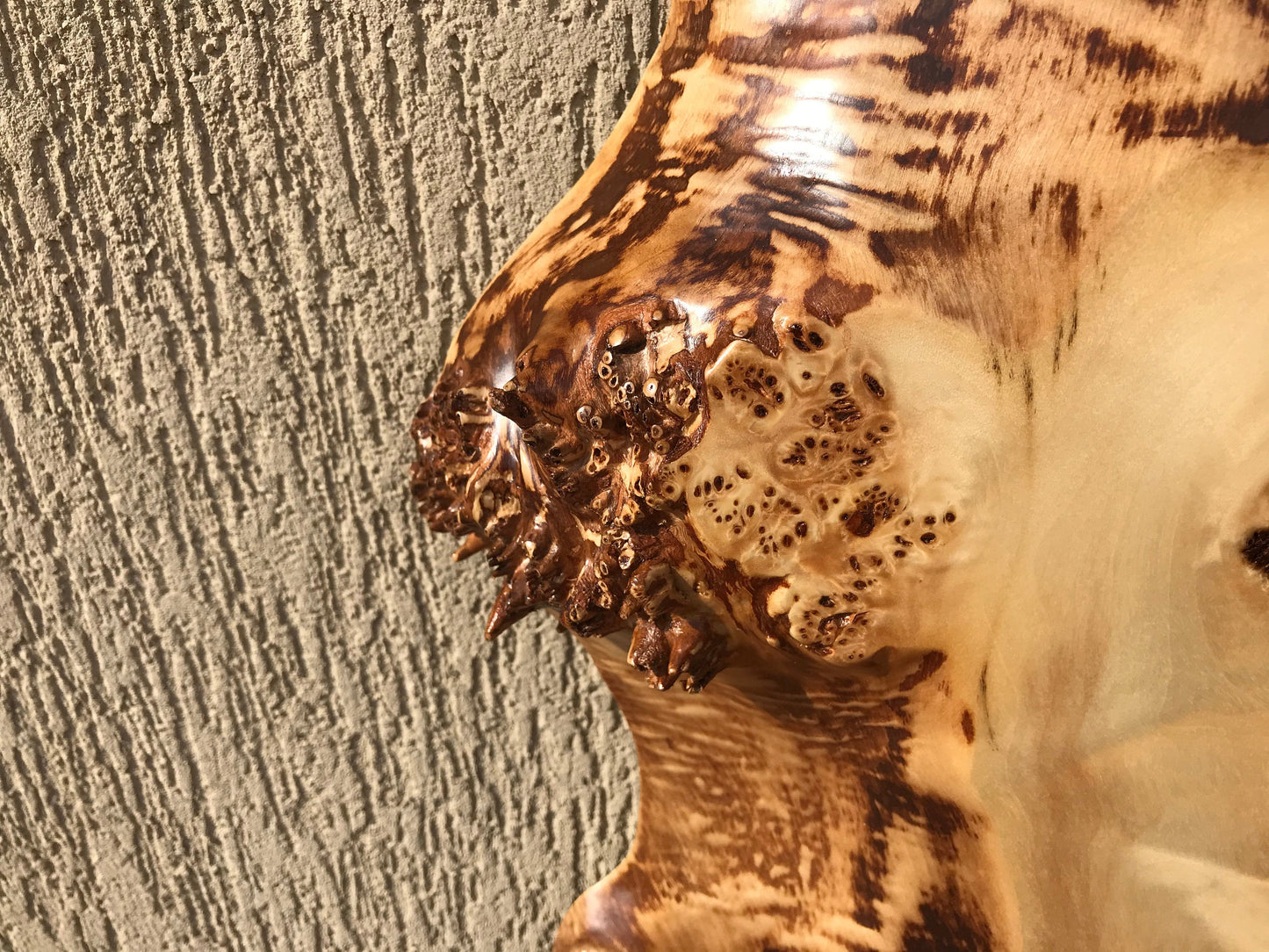 Live edge table, burl table, natural edge, slab table, tree trump table, poplar burl, mappa burl, poplar, slab burl,live edge slab,burl bowl