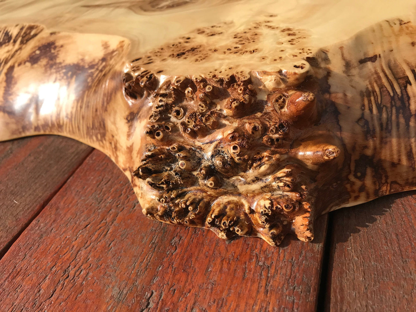 Live edge table, burl table, natural edge, slab table, tree trump table, poplar burl, mappa burl, poplar, slab burl,live edge slab,burl bowl
