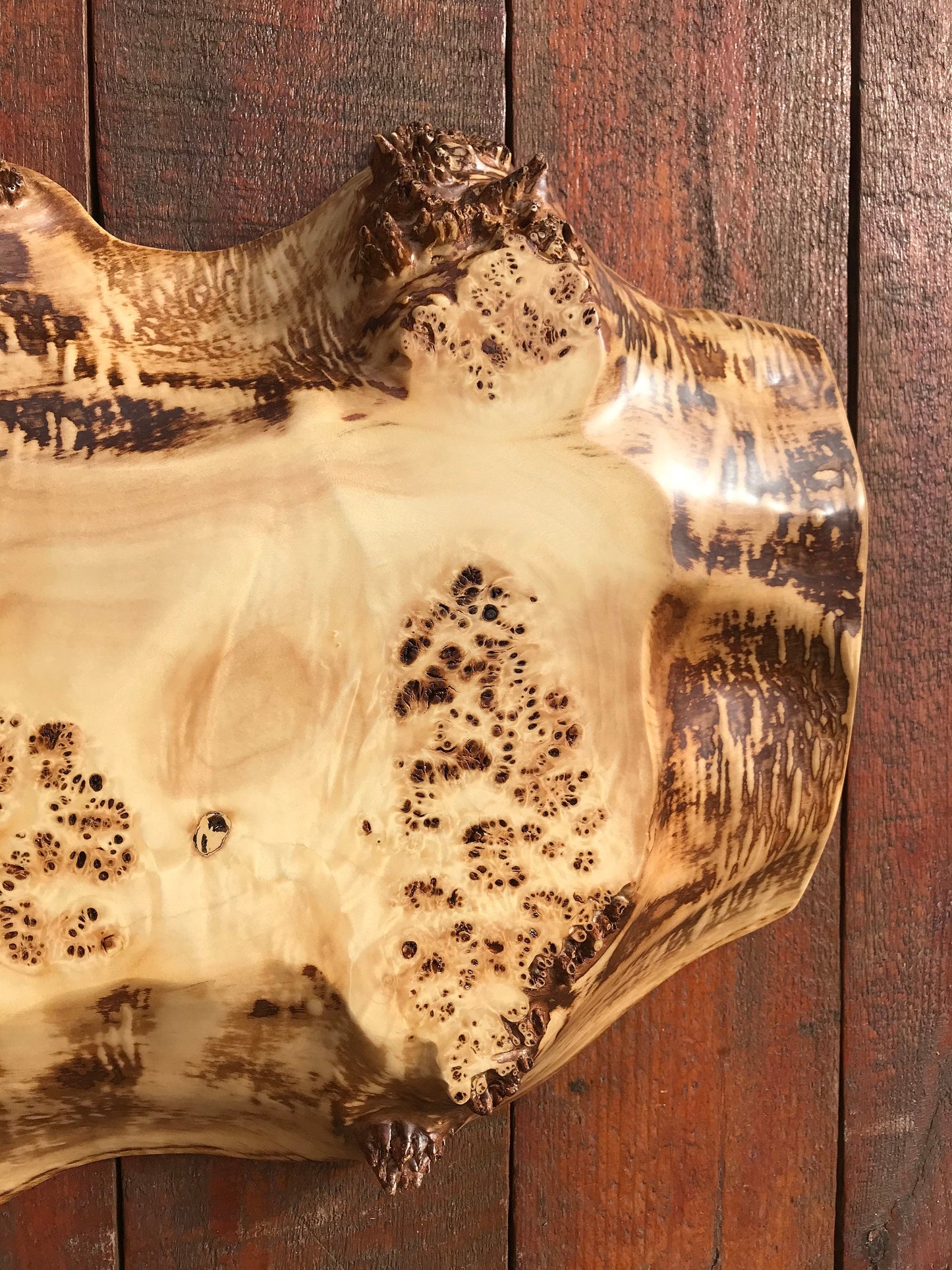Live edge table, burl table, natural edge, slab table, tree trump table, poplar burl, mappa burl, poplar, slab burl,live edge slab,burl bowl