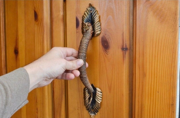 Door pull, snake, animal, poison, door handle, earth, lizard, birthday, anniversary, Christmas, room, barn, dining room, living room, forest