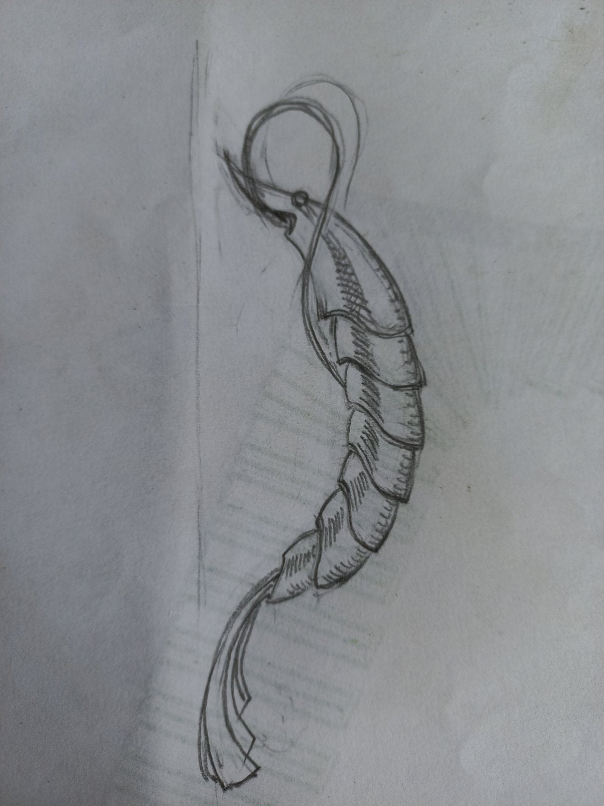 Door handle, shrimp, lobster, sea theme, ocean, door pull, nautical decor, Neptune, sea life, ocean life, European cuisine, fish, crawfish