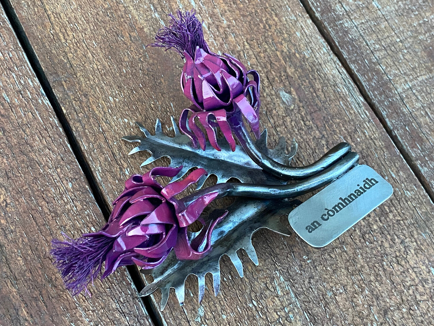 Thistle, Scotland, Scottish gift, 6th anniversary, iron anniversary, Christmas, birthday, Mothers Day, anniversary, garden, flower lover