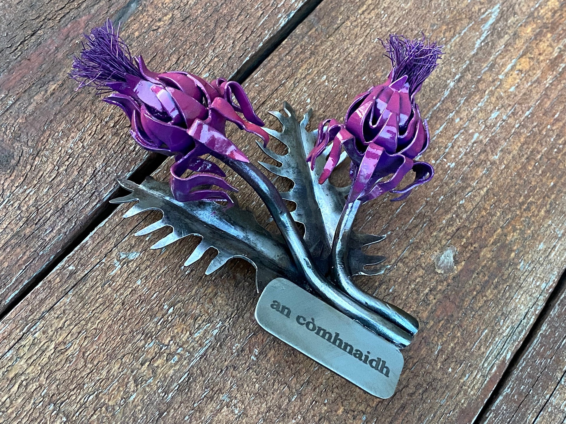 Thistle, Scotland, Scottish gift, 6th anniversary, iron anniversary, Christmas, birthday, Mothers Day, anniversary, garden, flower lover