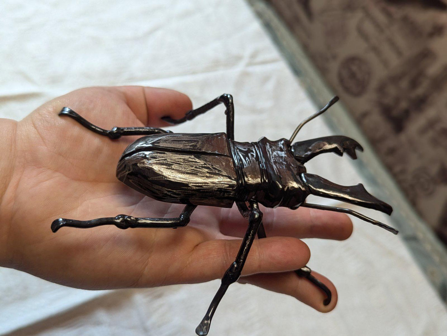 Beetle, bug, insect, Christmas, spider, anniversary, iron gift, birthday, 6th anniversary, 11th anniversary, forest, jungle, desert, dragon