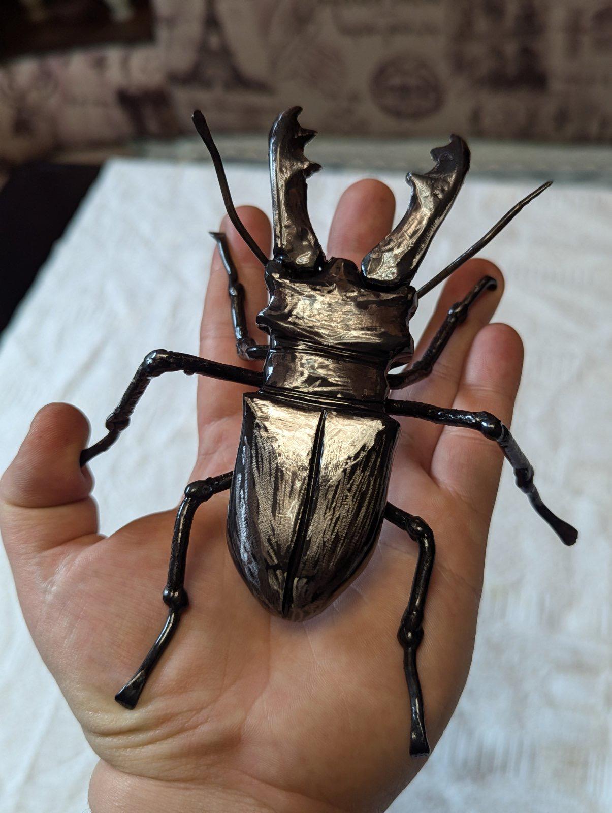 Beetle, bug, insect, Christmas, spider, anniversary, iron gift, birthday, 6th anniversary, 11th anniversary, forest, jungle, desert, dragon