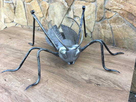 Grasshooper, iron grasshooper, garden decor, yard art, garden art, insect charm, garden gifts, garden sculpture, garden ideas, garden iron