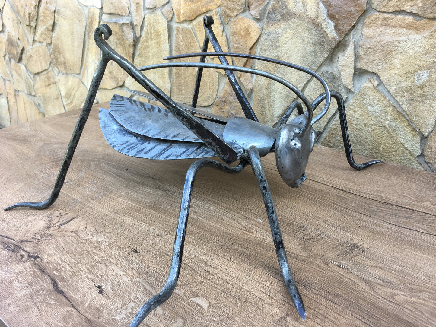 Grasshooper, iron grasshooper, garden decor, yard art, garden art, insect charm, garden gifts, garden sculpture, garden ideas, garden iron